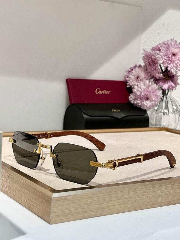 Cartier Sunglasses 112